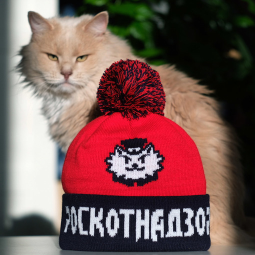 Шапка "РосКотНадзор"