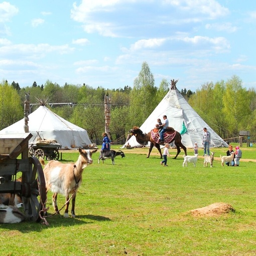 Сертификат в этнопарк "Кочевник"