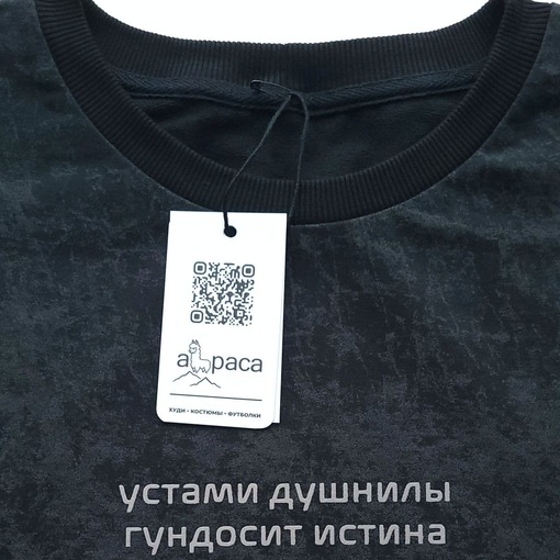 Футболка с принтом "alpaca.lab"