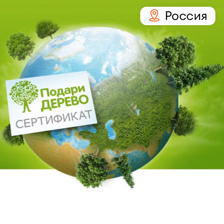 Сертификат на посадку дерева "Жизнь"