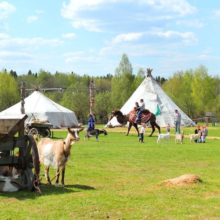 Сертификат в этнопарк "Кочевник"