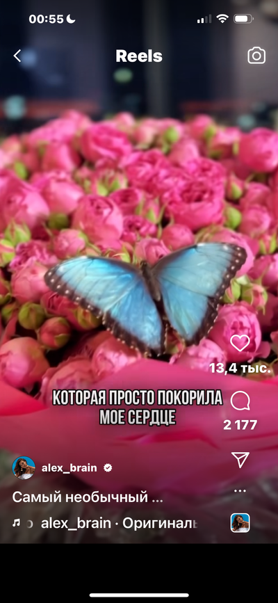 IMG_0237.png